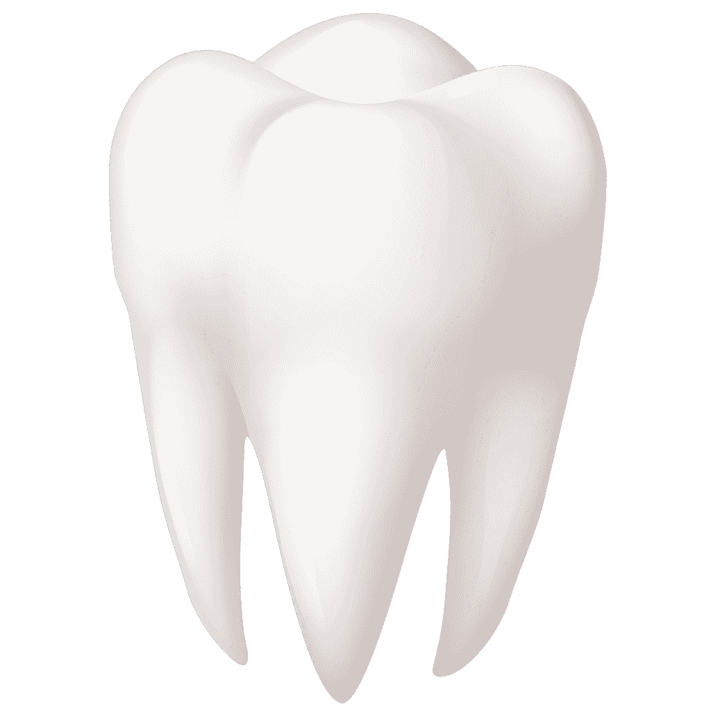 teeth